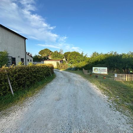 - Il Casale Toscano - 1900Mt From Leaning Tower - No Breakfast - Free Parking - Self Check-In Only From June 15Th Pisa Exteriör bild